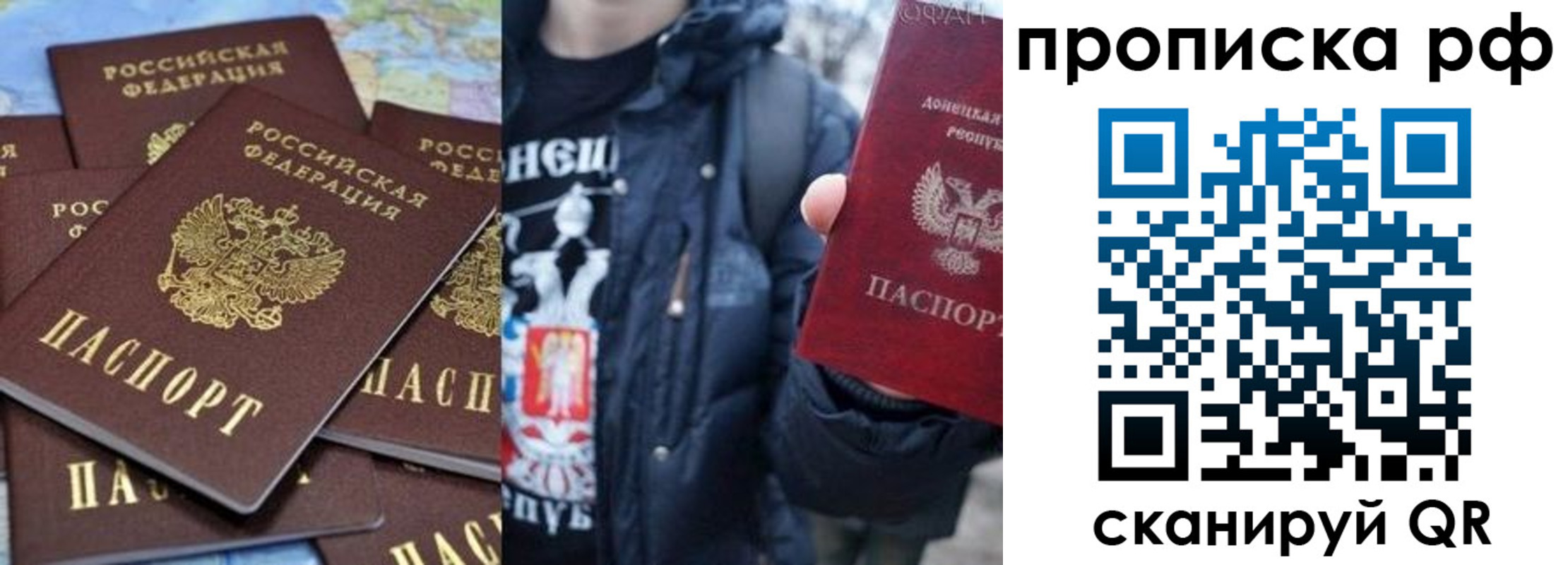 прописка гарантия в Ростове
